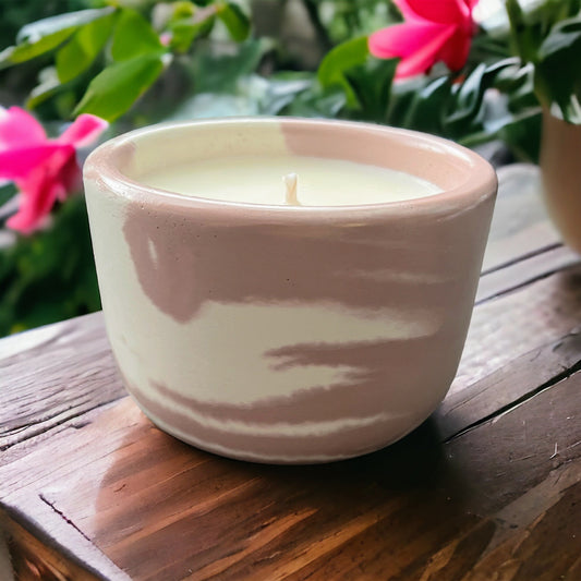 Hibiscus 🌺 Guava Fresca 7.5oz