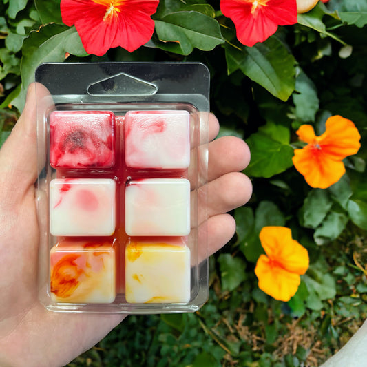 Hibiscus 🌺 Guava Fresca wax melts