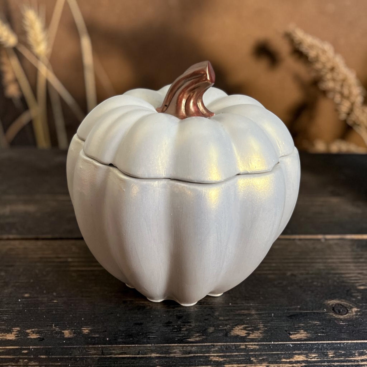 🤍 Mahogany Pumpkin: White Concrete Pumpkin